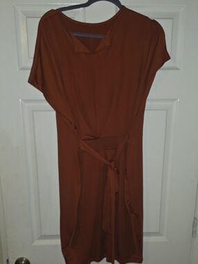Tie-Waist Mini Dress in Rust Brown